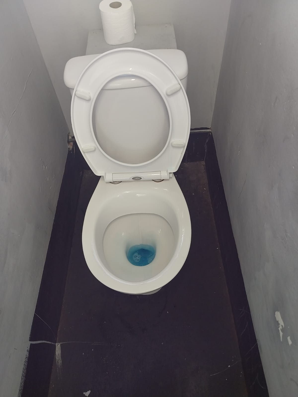 Toilet after a deep clean in a busy washroom