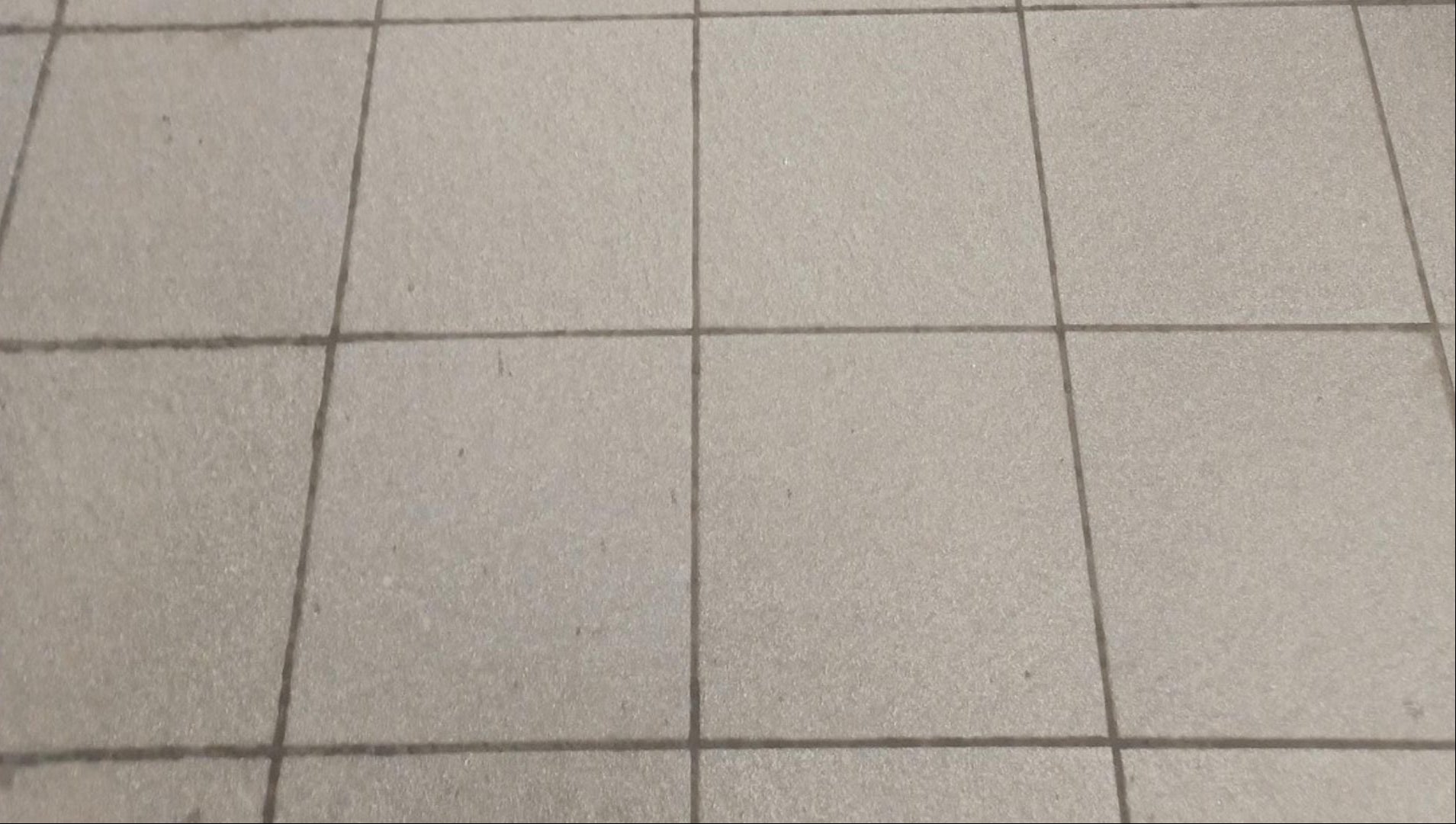 Washroom floor after a deep clean, clean and presentable