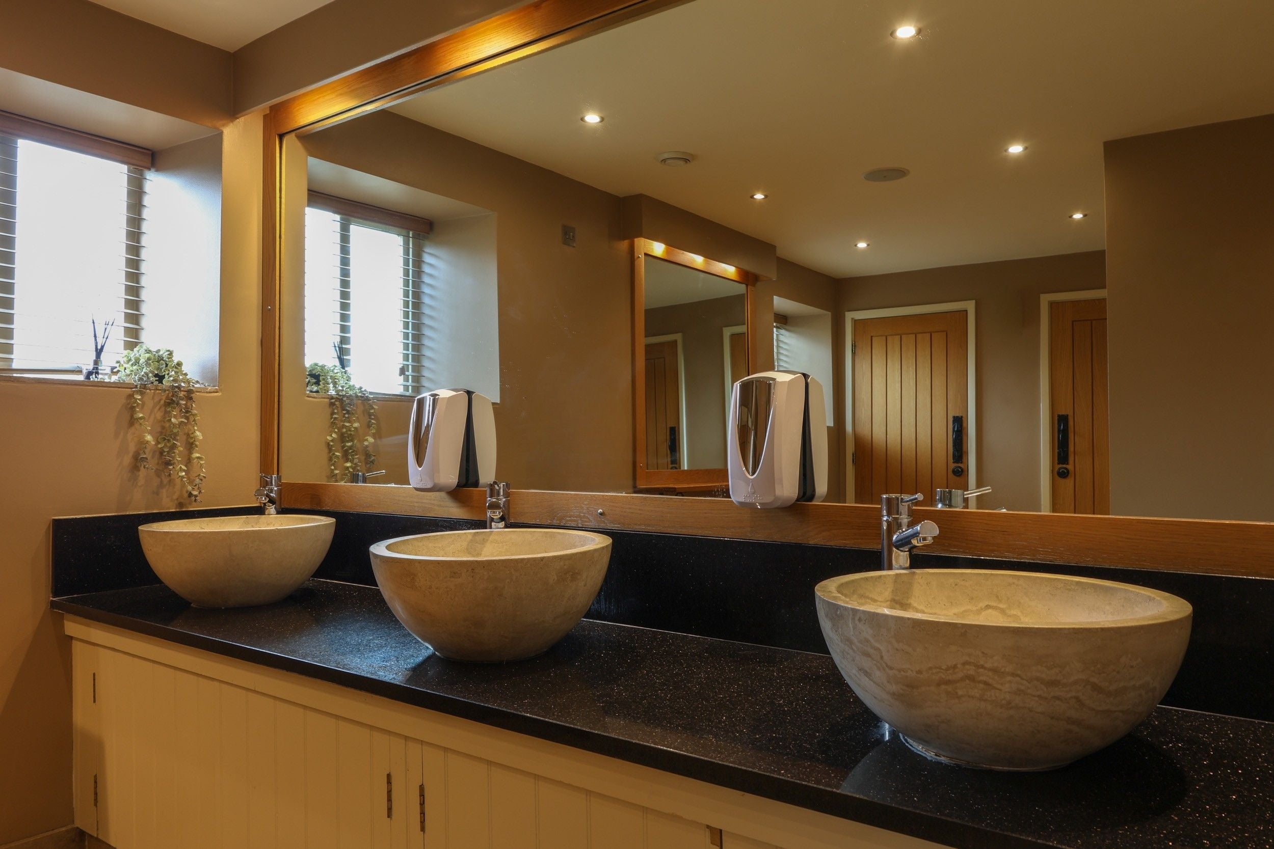 Washroom and Hand Hygiene 