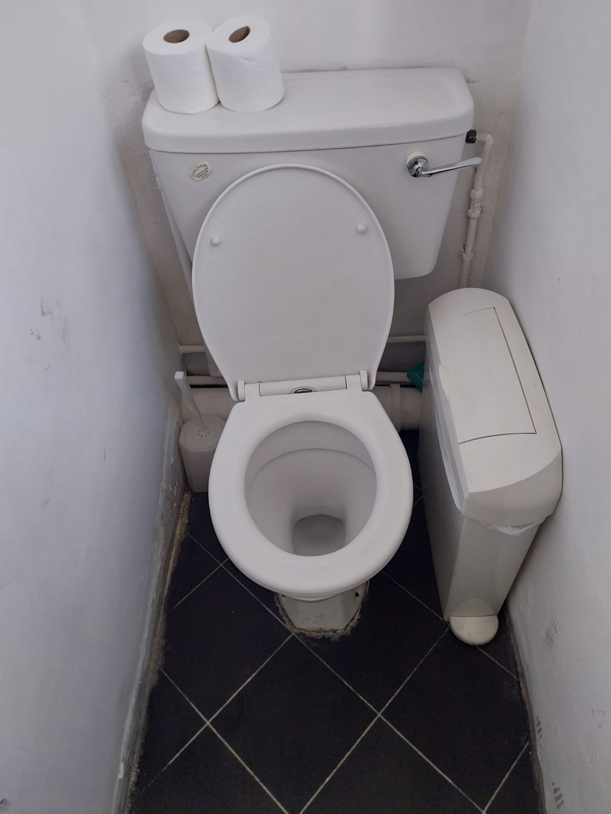 Toilets after a deep clean in a ladies' washroom