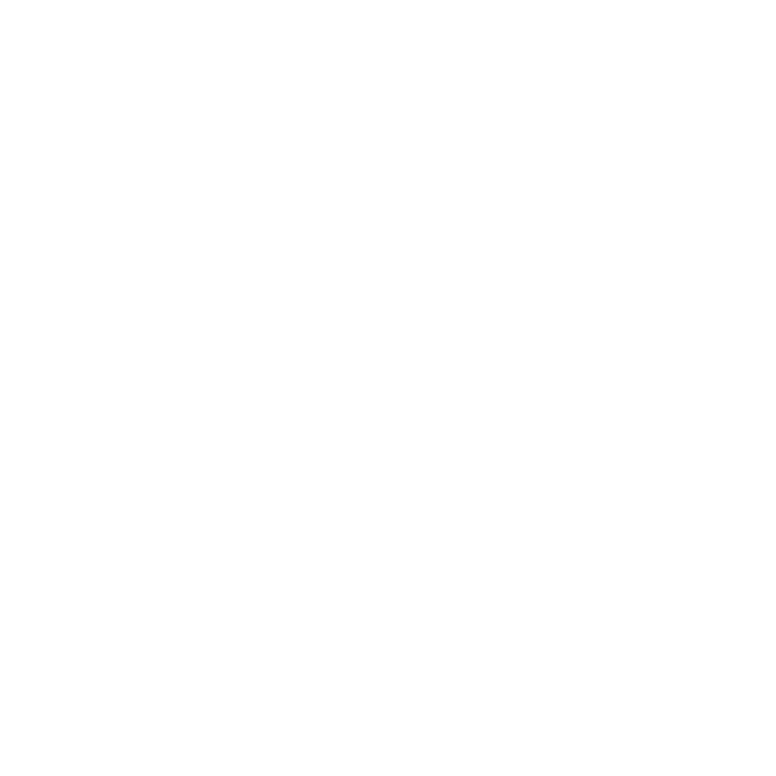 Mobility icon