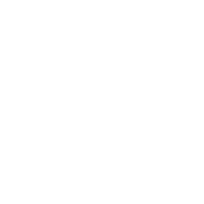 Professional appearance icon