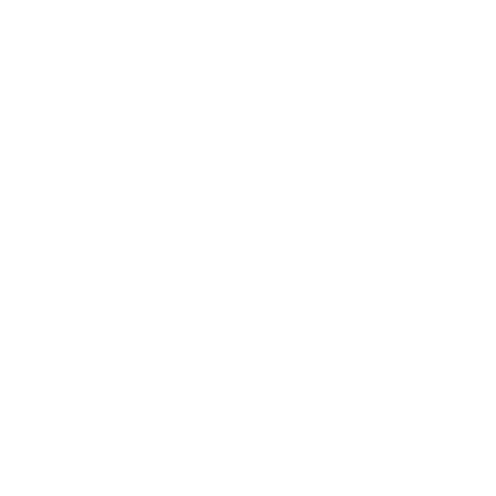 Safety and protection icon