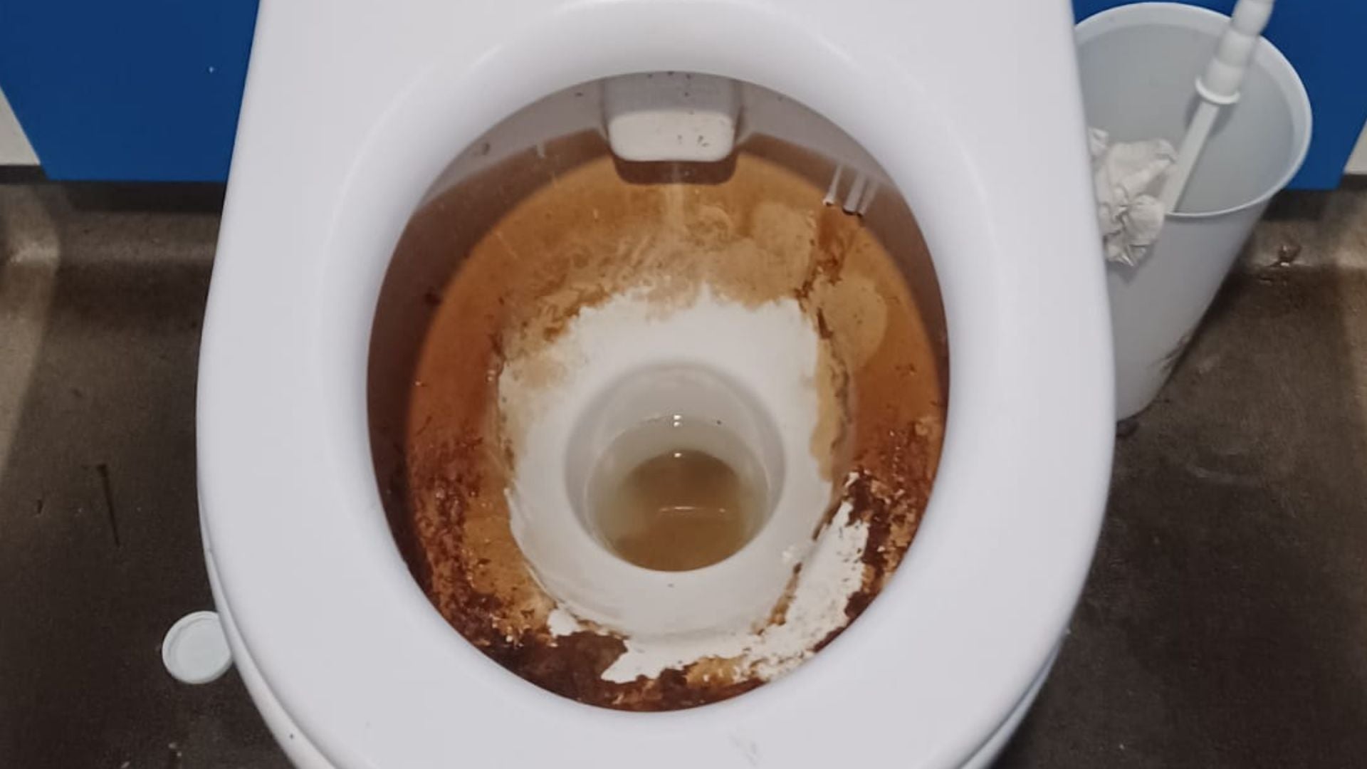 Toilet before a deep clean, showing build-up