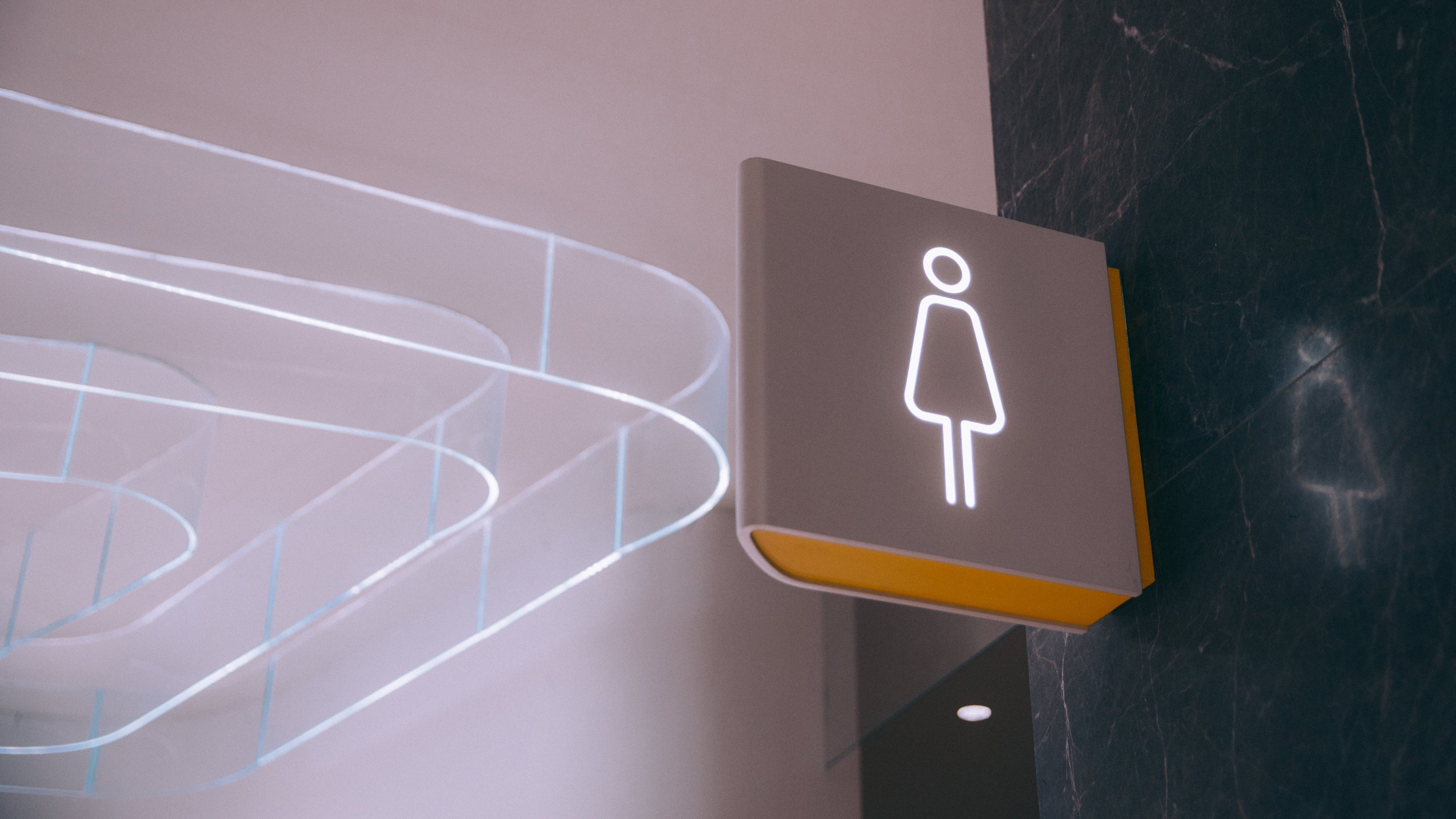 Sanitary disposal: women's washroom signage outside a modern washroom