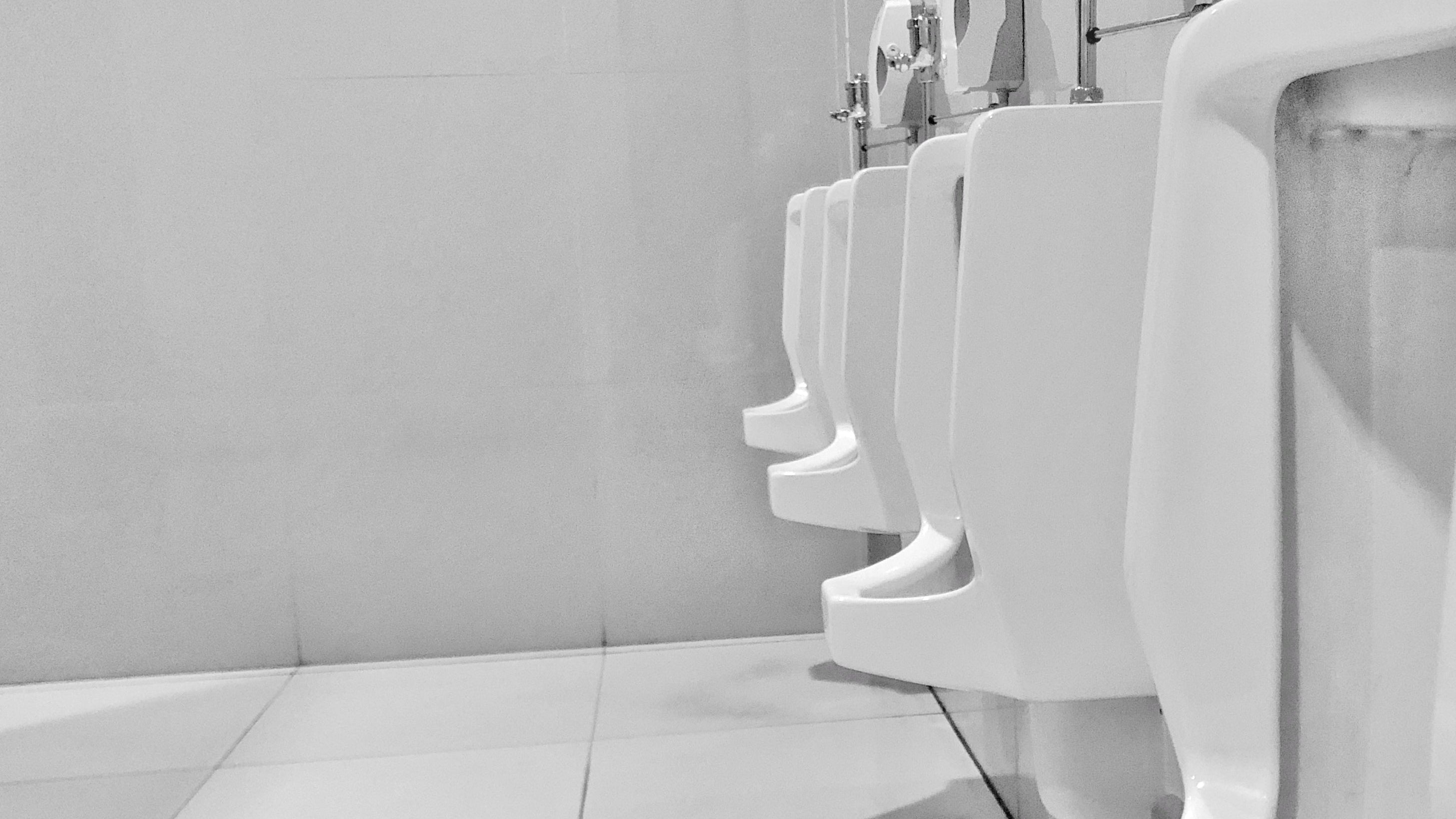 Urinal and WC sanitisers: a row of clean white urinals