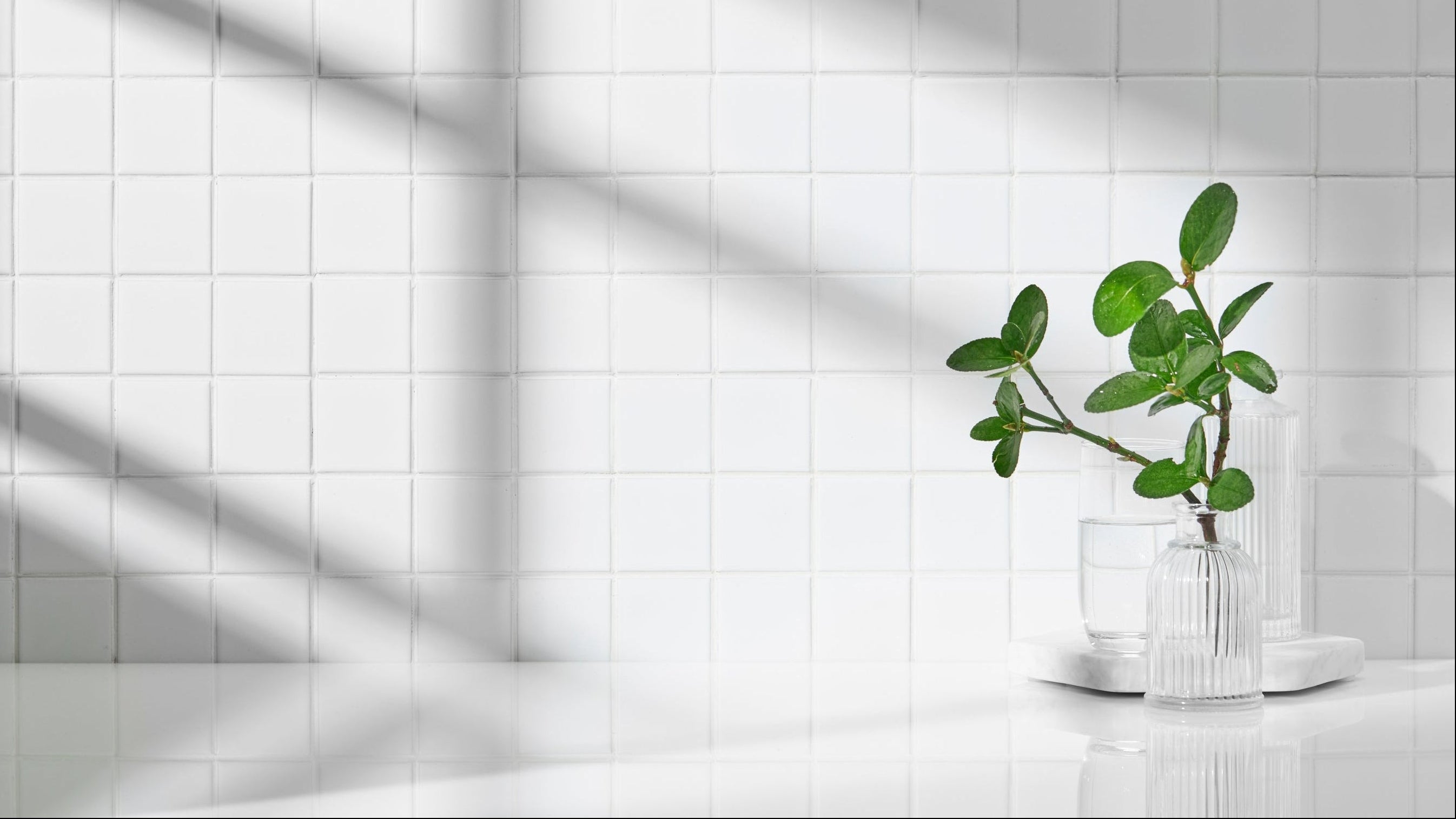 Washroom tiles with a sunlit plant, reflecting hygiene and freshness