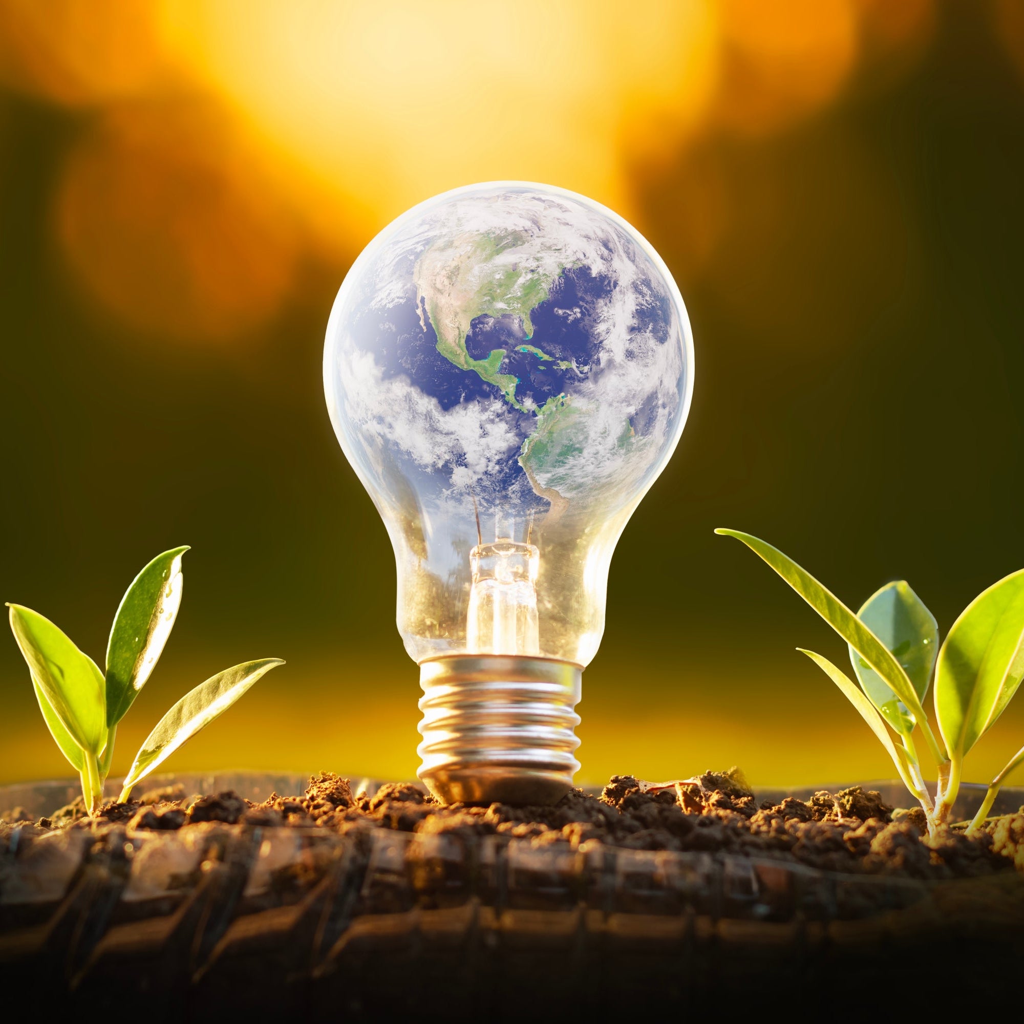 A globe in a lightbulb with seedling, reflecting environmental commitment