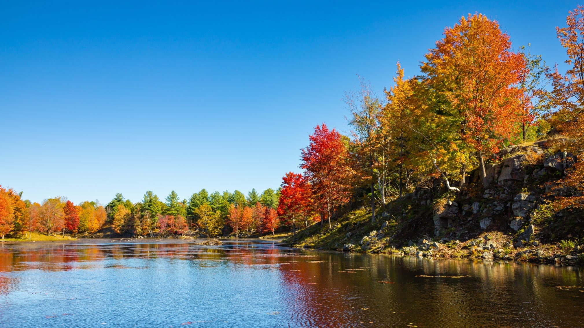 Water saving systems: autumn trees reflected in a still lake