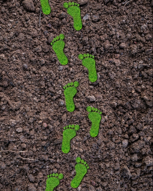 Carbon Footprint Report: footprint shapes formed from green grass