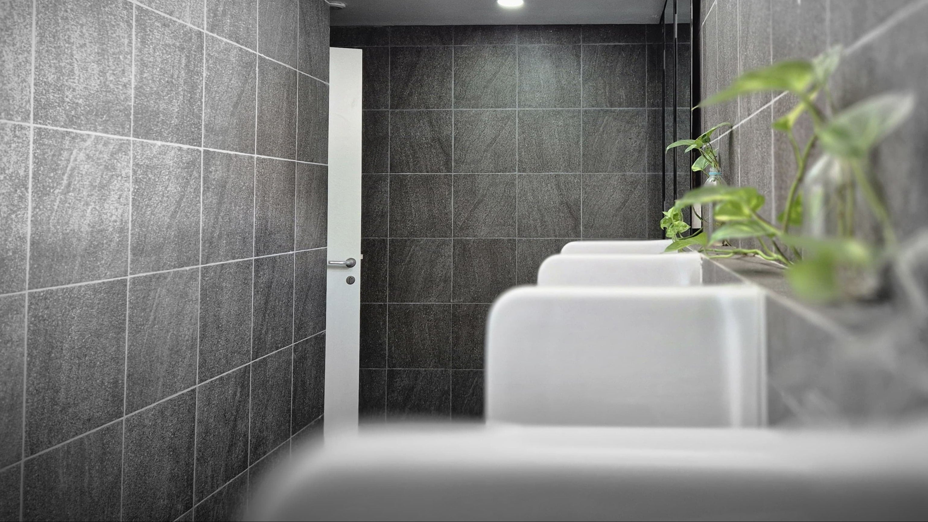 Urinal screens: white urinals against dark grey tiling
