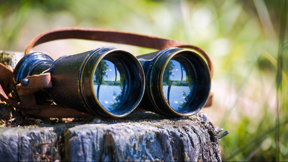 Vintage binoculars on a tree stump, reflecting the company vision
