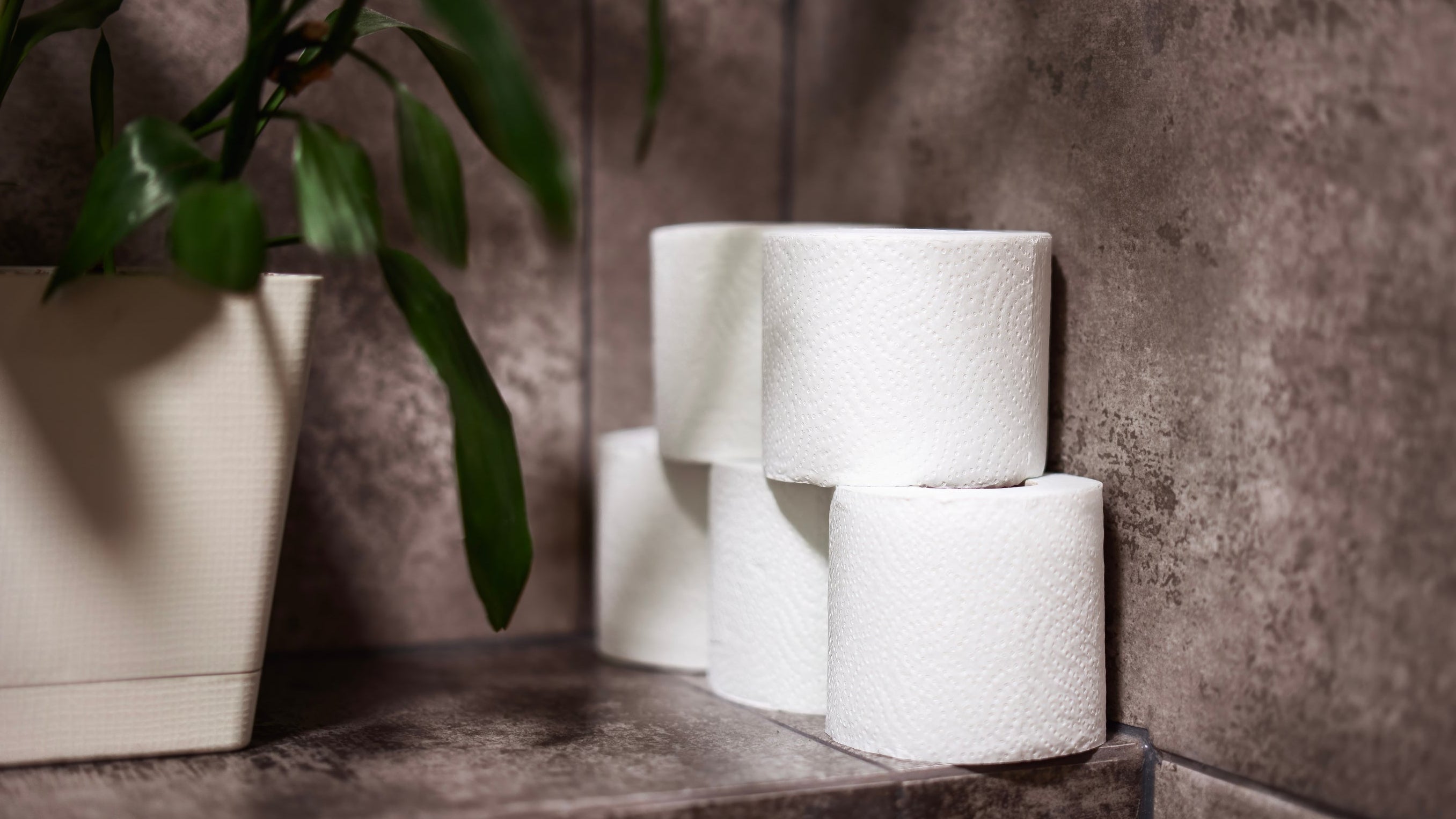 Toilet rolls stocked on a shelf in a busy public washroom