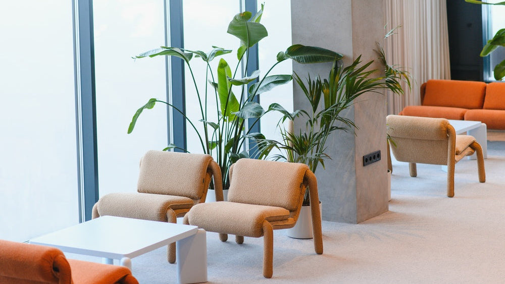 Air purification: a contemporary lounge with beige and orange seating